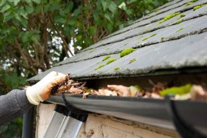 Professional gutter services in Chicago for residential and commercial properties